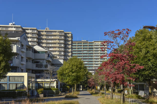 istock Residential area and tree-lined avenue on a sunny day. 1792524011