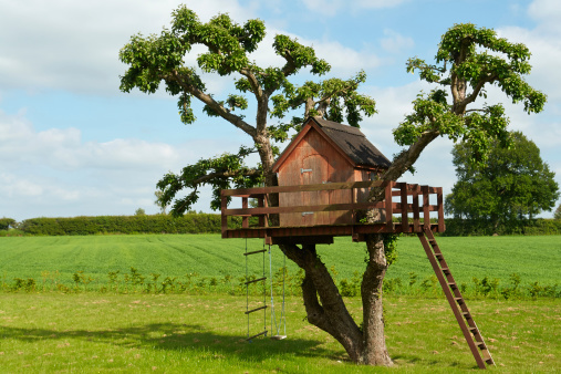 Beautiful creative handmade tree house for kids in backyard of a house