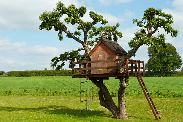Beautiful creative tree house Beautiful creative handmade tree house for kids in backyard of a house playhouse stock pictures, royalty-free photos & images