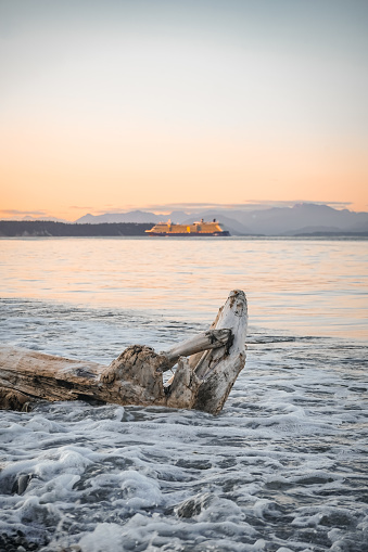 Ship Sailing by A Driftwood at Campbell River, Vancouver Island, BC, Canada