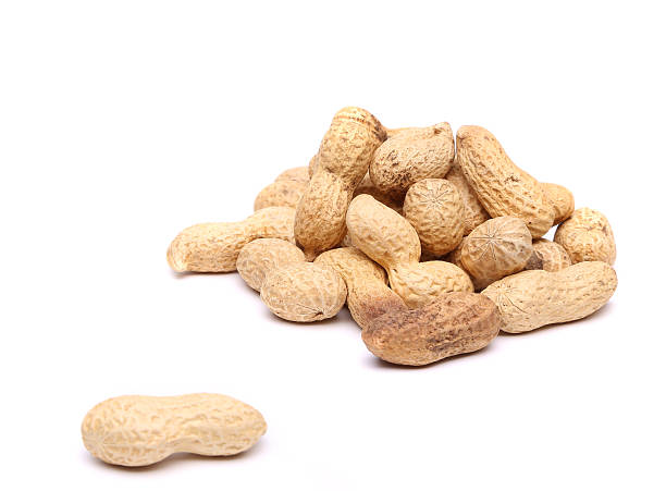 istock handful of peanuts for a pod 179253036