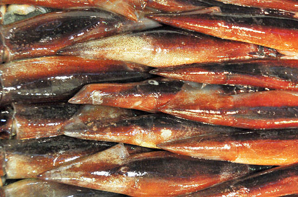 istock Tokyo Tsukiji Fish Market 179253295