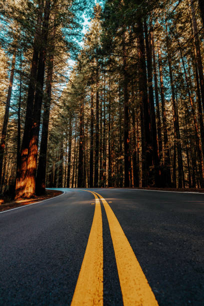 istock I love you Mendocino 1792544010