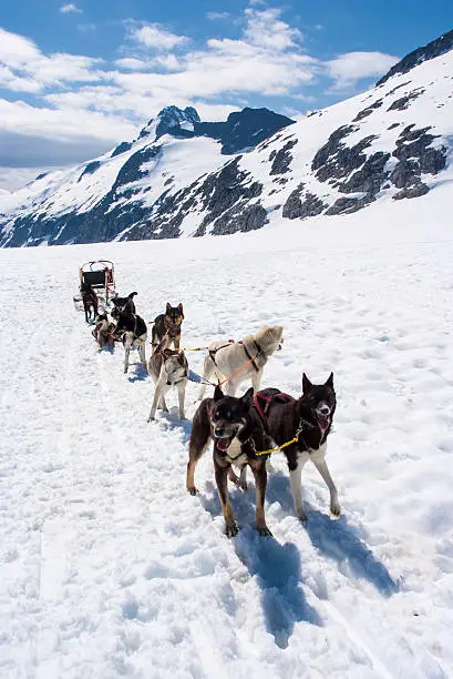 Special adventure in Alaska - Dogsled experience - Travel Destination