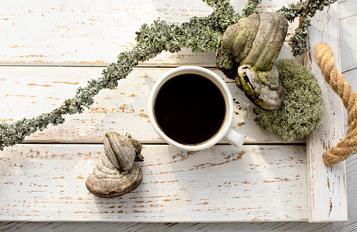 Mushroom coffee chaga superfood. Dried mushrooms and and a cup of coffee. Healthy organic energizing adaptogen, endurance boosting food trends.