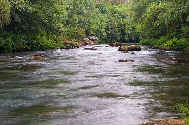 istock Fraga do Eume Natural Park - Galicia (Spain) 179255531