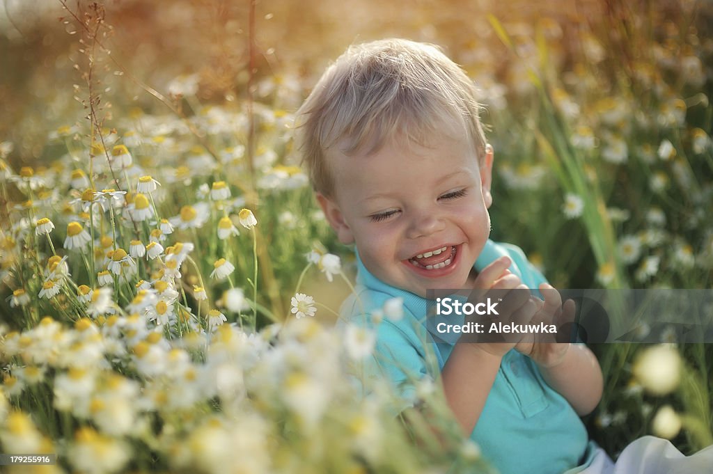 daisies et bébé - Photo de Beauté libre de droits