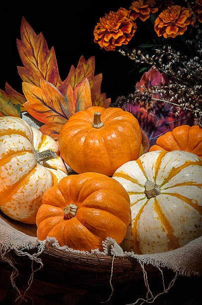 istock Pumpkins still life 179255958