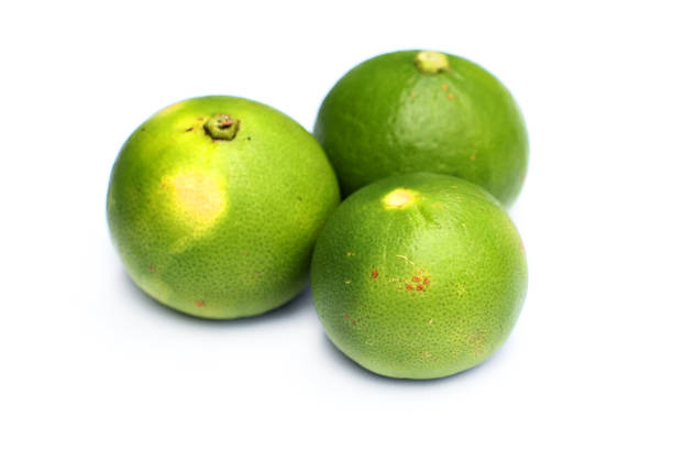 lime - lemon lime lyme regis vegetable foto e immagini stock