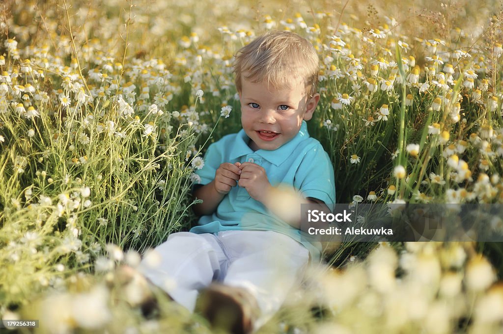 daisies et bébé - Photo de Amitié libre de droits