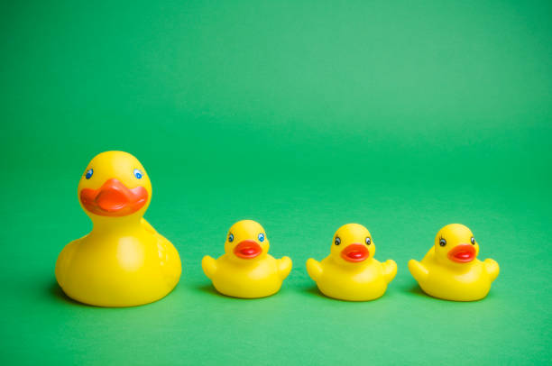 Rubber Duck family on Green