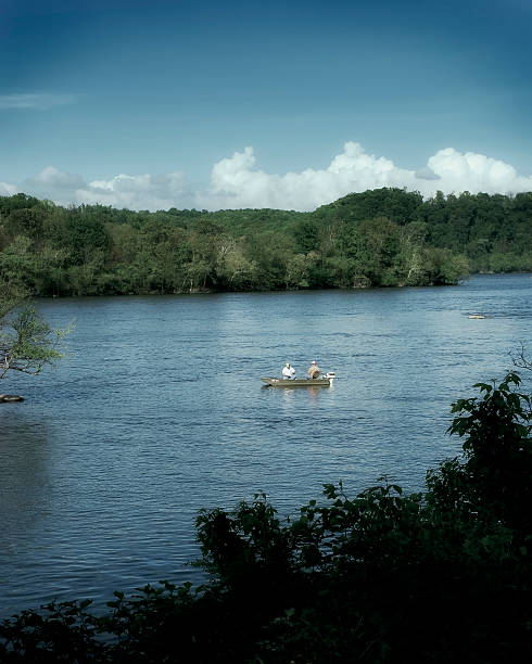 Sieć w Susquehanna – zdjęcie