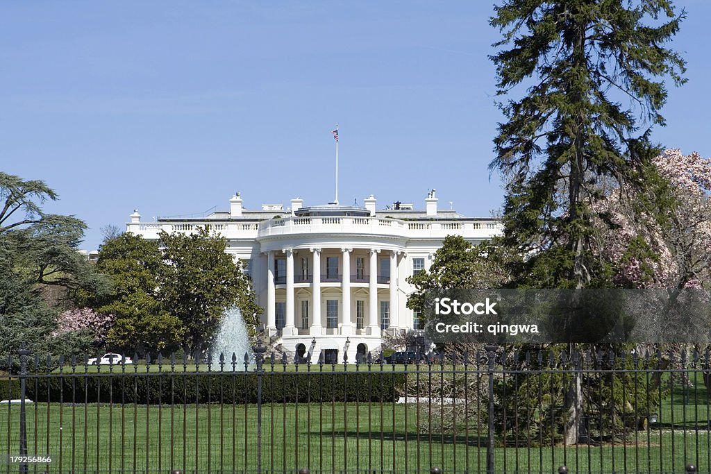 サウスローンホワイトハウス、スプリング Magnolias ブルースカイ - アメリカ合衆国のロイヤリティフリーストックフォト