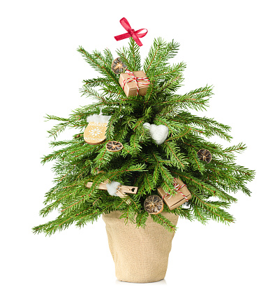 Christmas tree decorated in eco style on a white isolated background