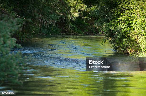 Flowing Stream Stock Photo - Download Image Now - Flowing Water, Green Color, Horizontal
