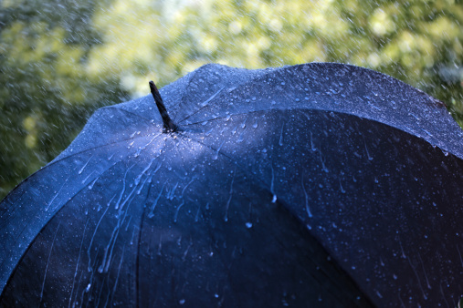 Rain drops falling on an umbrella