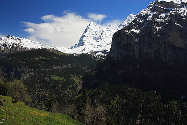 швейцария - switzerland interlaken schreckhorn mountain стоковые фото и изображения