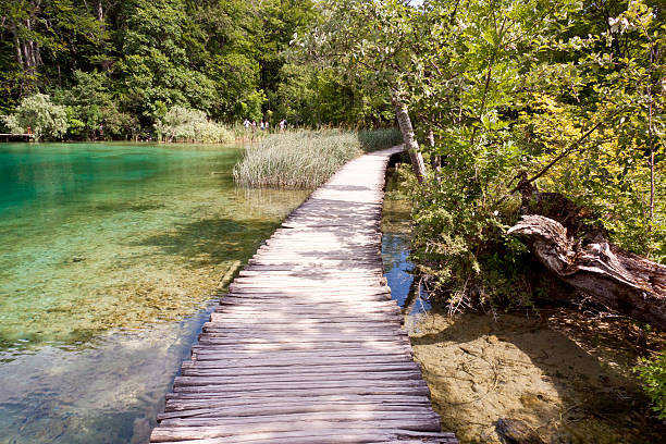 istock Wooden pathway - Plitvice lakes, Croatia, Europe 179260155
