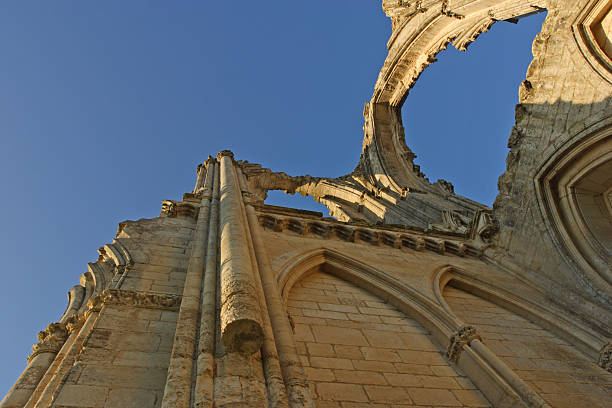 Maillezais is an abbey in ruin of the blazing Gothic type. It is in VendAe (France).