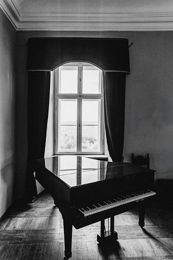 Window reflection in a black piano