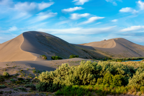 The tall dunes at the Bruneau Sand Dunes state park in southwest Idaho.