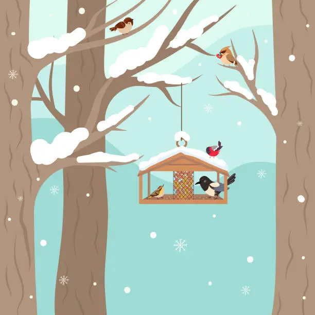 Vector illustration of Winter feeder for birds in forest or park. Cartoon feeder hang on tree branch. Seasonal bird eating seeds and berries, nowaday vector nature background