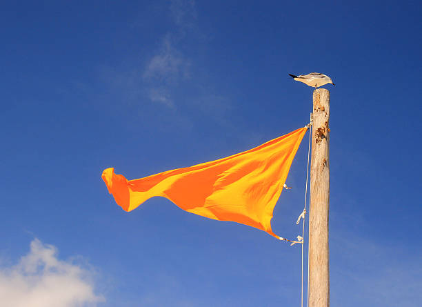 istock Yellow flag waving in the wind 179261800