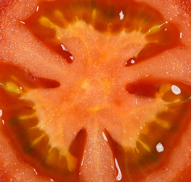 istock Close up of  tomato background 179262176