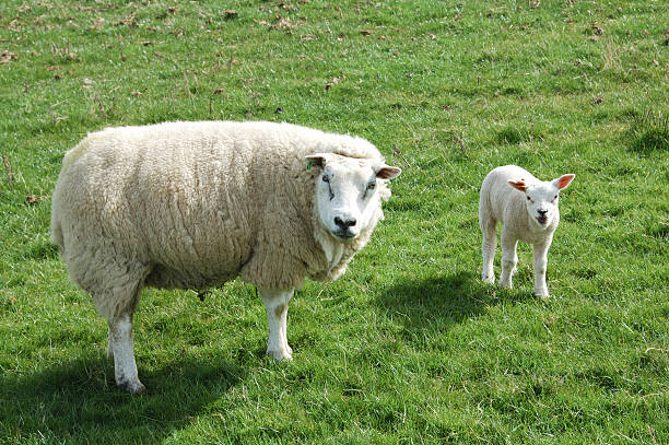 istock who are you looking at? 179262454