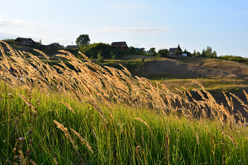 grassy hill with village on background in sunset copy space
