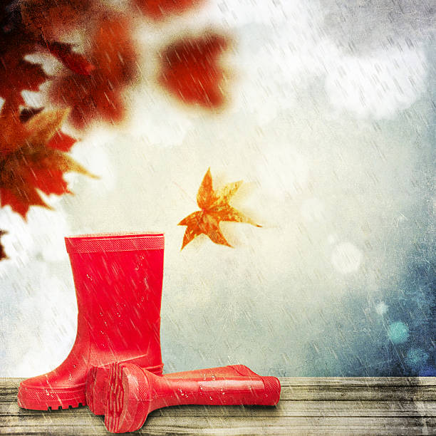 A young girl joyfully playing in a muddy puddle on a rural dirt path during a light rain. Dressed in a bright yellow raincoat, she holds up her red rain boots, pouring out water from them with a playful expression. The lush greenery surrounding the path enhances the carefree and adventurous spirit of childhood fun in the rain.