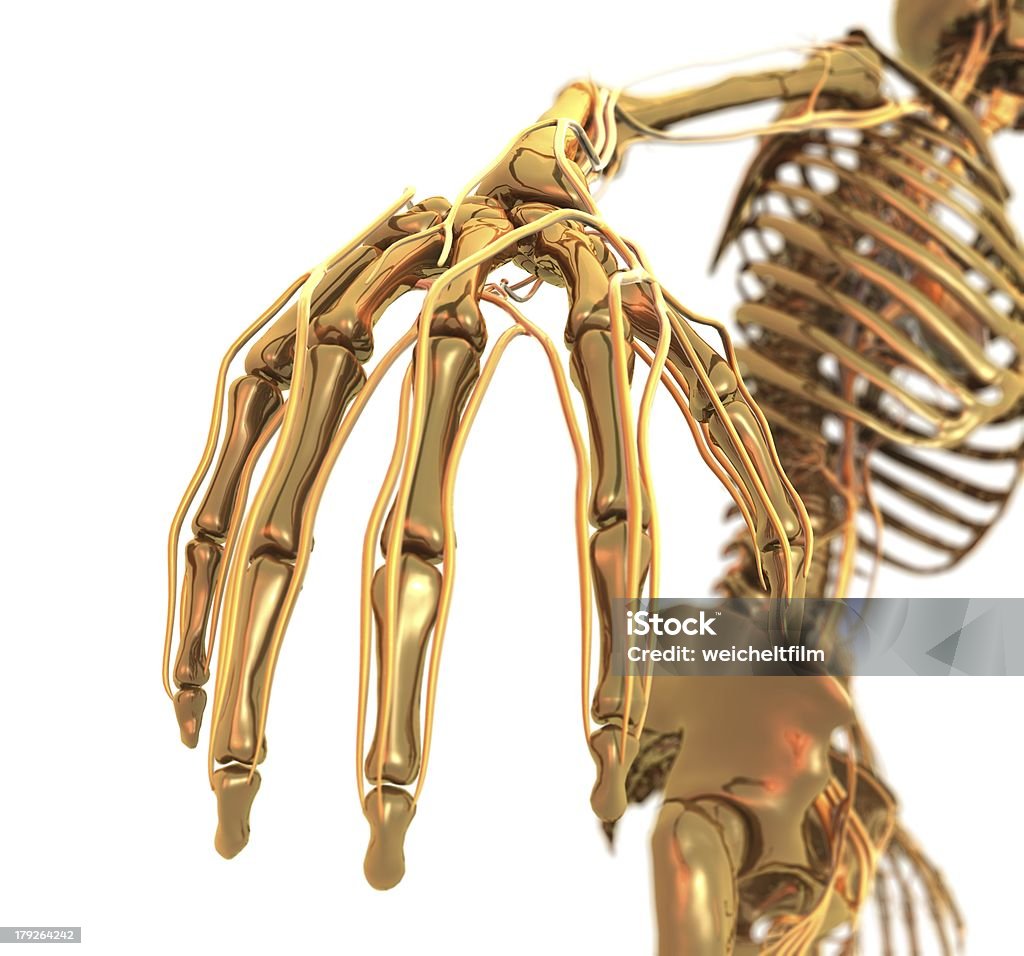 Golden esqueleto mano - Foto de stock de Abstracto libre de derechos