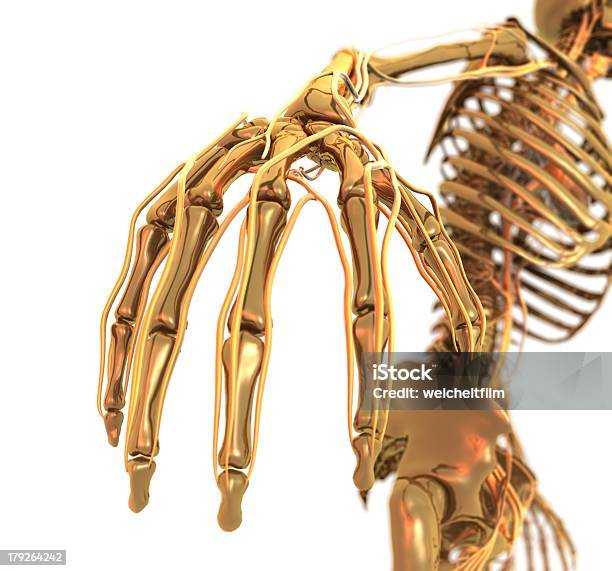 Golden Esqueleto Mano Foto de stock y más banco de imágenes de Abstracto - Abstracto, Anatomía, Arte