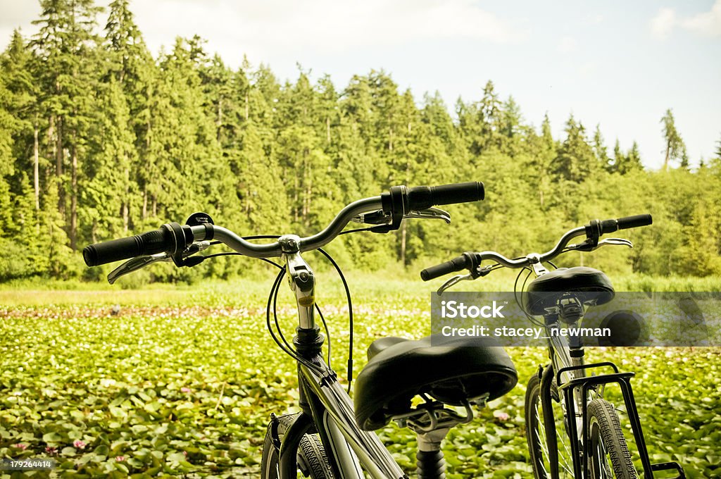 Fahrräder in der Natur - Lizenzfrei Bildhintergrund Stock-Foto