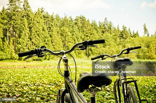Fahrräder In Der Natur Stockfoto und mehr Bilder von Bildhintergrund - Bildhintergrund, Britisch-Kolumbien, Fahrrad