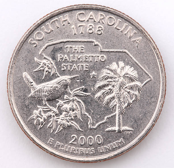 istock South Carolina State Quarter 179264440