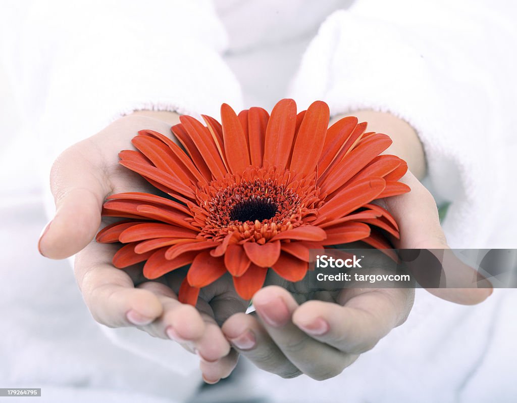Blume in Frau hand. Spa Resord. - Lizenzfrei Blume Stock-Foto