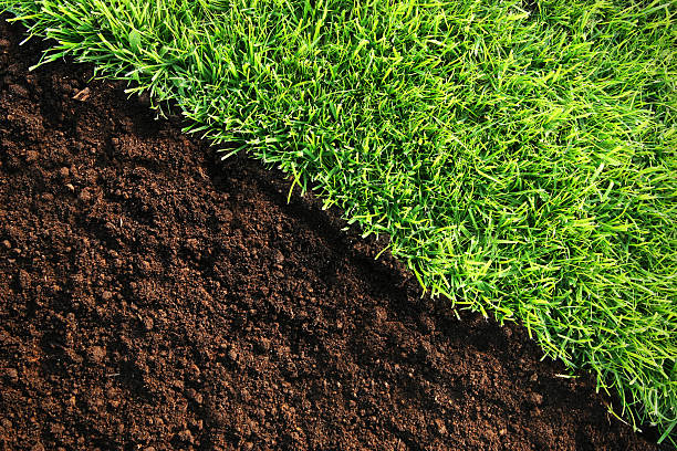 Healthy grass and soil background stock photo