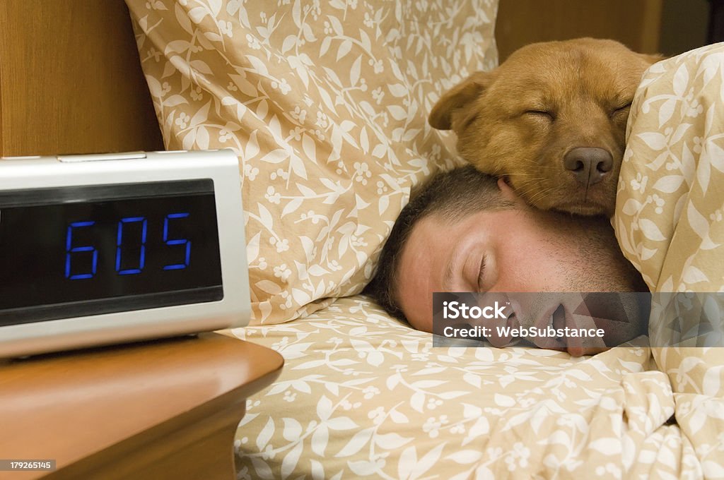 Fell into profound sleep Man and his dog comfortably sleeping in. Sleeping Stock Photo