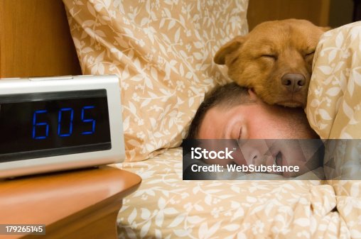 6,240 Funny Sleeping Man Stock Photos, Pictures & Royalty-Free Images -  iStock