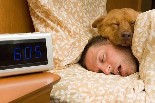 Fell into profound sleep Man and his dog comfortably sleeping in. number 6 photos stock pictures, royalty-free photos & images