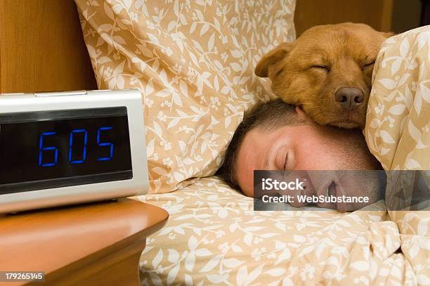 Fell Into Profound Sleep Stock Photo - Download Image Now - Sleeping, Humor, Dog
