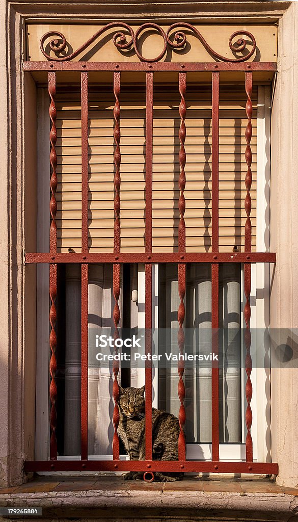 Katze hinter Fenster bars - Lizenzfrei Architektonisches Detail Stock-Foto