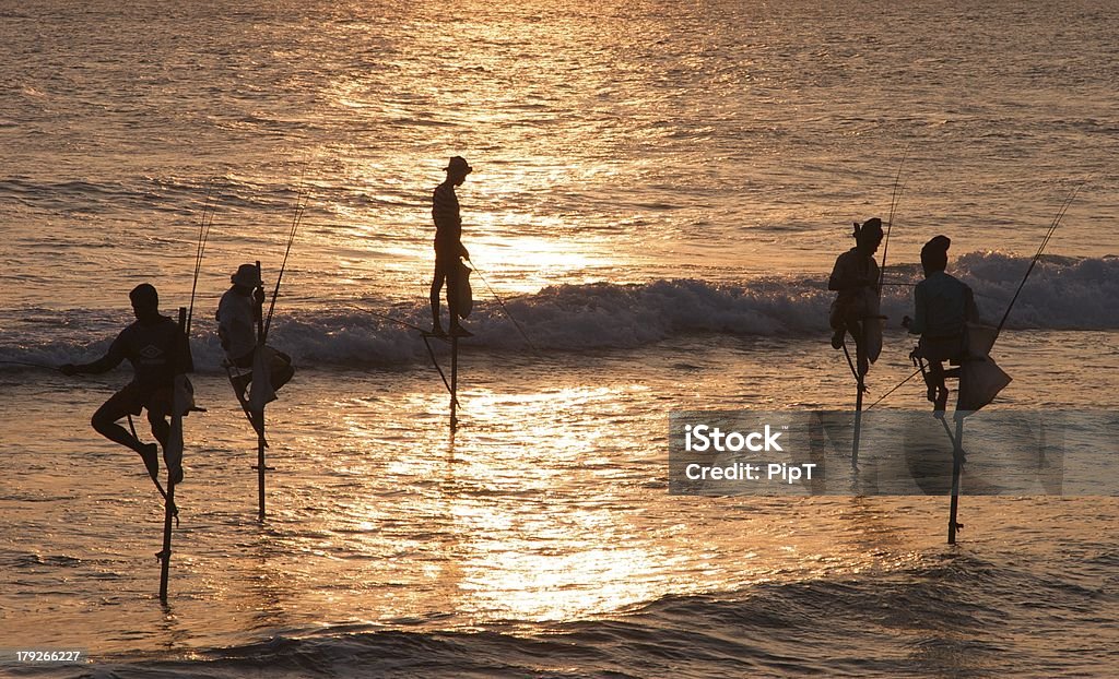 Stick Fishermen at Sunset Sri Lankan stick fishermen Fisher - Role Stock Photo