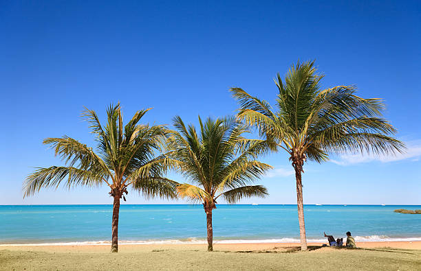 palmeiras cidade beach broome austrália ocidental - broome - fotografias e filmes do acervo