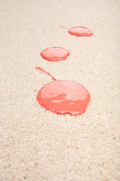 istock Spilled Paint on Carpet Insurance Claim Accident 179266805