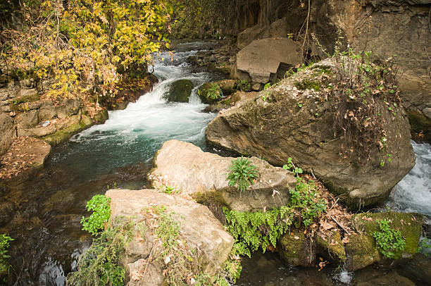 istock banias river, upper galilee, israel 179266882