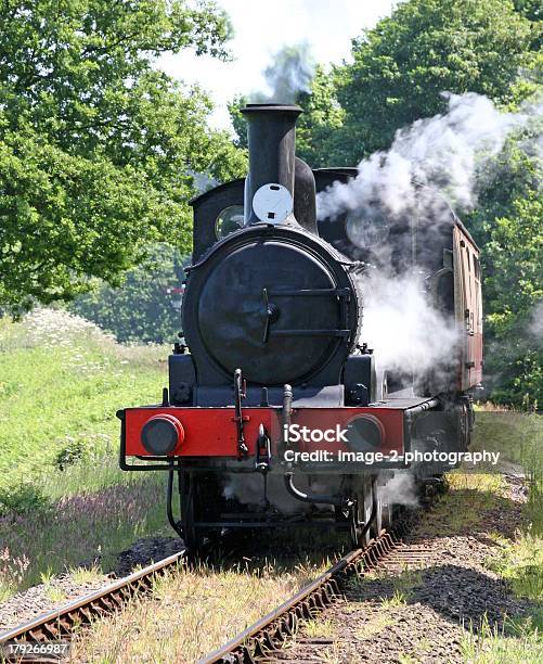Foto de Puffing Stream Trem A Vapor Em Uma Filial Da Linha e mais fotos de stock de Norfolk - East Anglia - Norfolk - East Anglia, Locomotiva a vapor, Cena Não-urbana