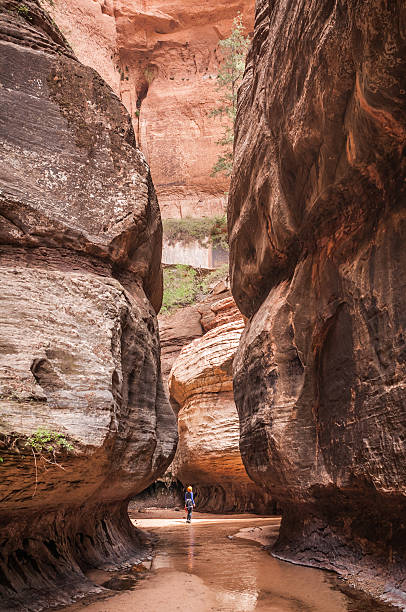 istock Zion National Park 179267276