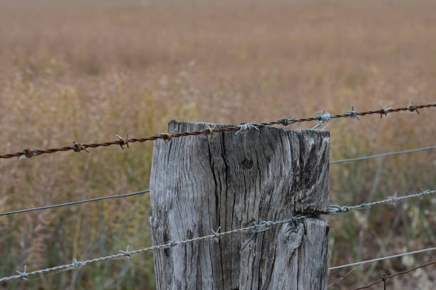 istock Barbed wire and fence post 1792677544